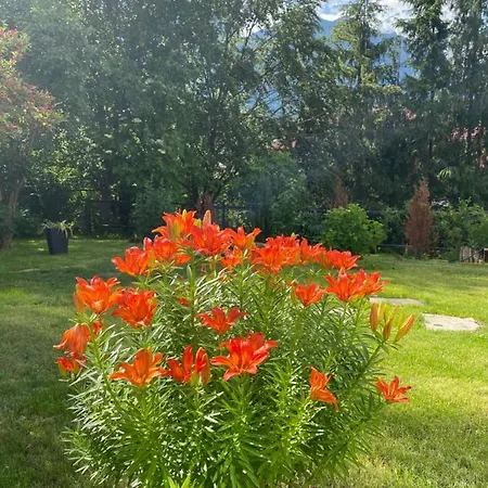 Bohemian Villa Busteni